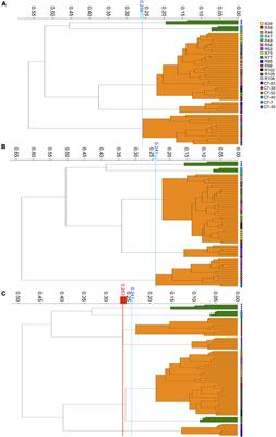 Evaluation of IR Biotyper for Lactiplantibacillus plantarum Typing and Its Application Potential in Probiotic Preliminary Screening